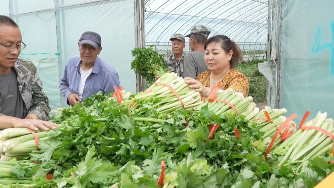 永宁县农业技术推广服务中心