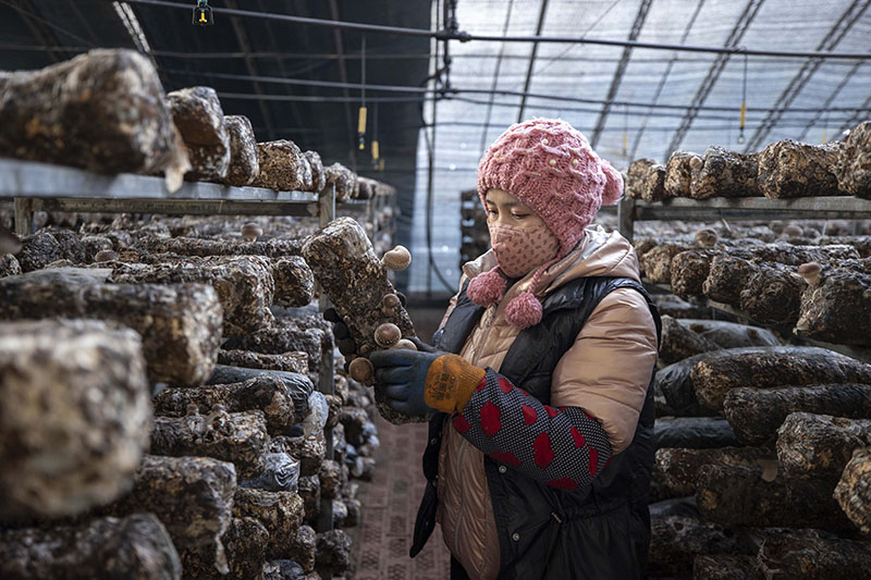 贺兰县洪广镇人民政府